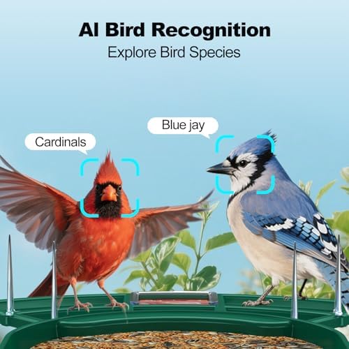 Fazoxo Bird Feeder with Camera,Birds House Camera,Solar Powered,AI Bird ID