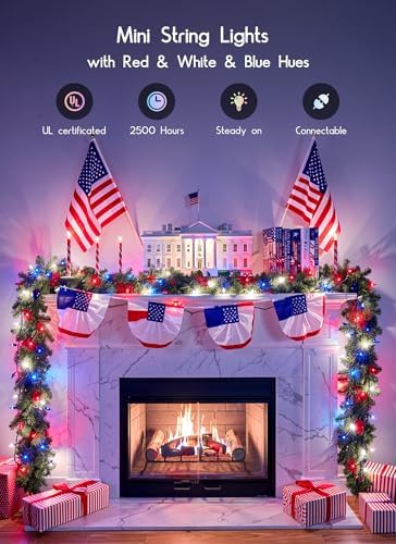 Minetom Red White Blue Lights Green Wire 100 Count 4th July Decoration
