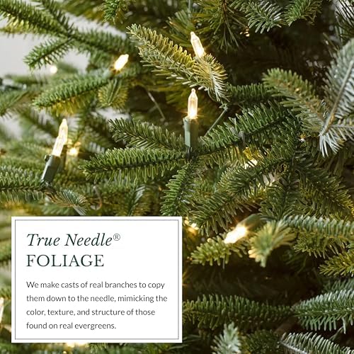 Balsam Hill European Silver Fir - Elegant Artificial Christmas Tree with True Needle Foliage Available Unlit or with LED Clear Lights, LED Clear, 7'