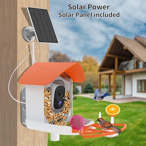 Fazoxo Bird Feeder with Camera,Birds House Camera,Solar Powered,Orange