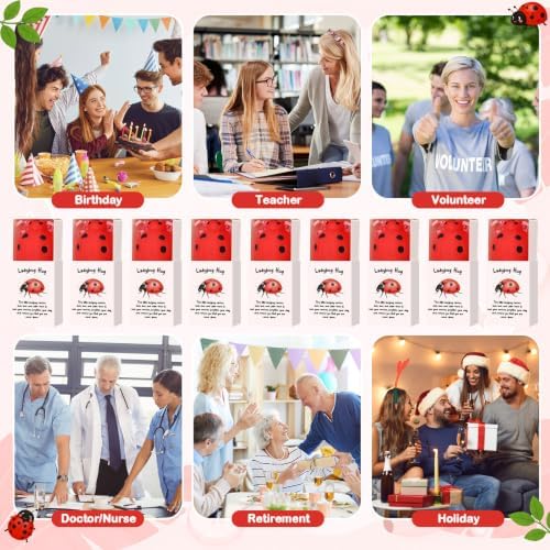 24 Sets Positive Luck Gifts Ladybug Party Favors with Boxes