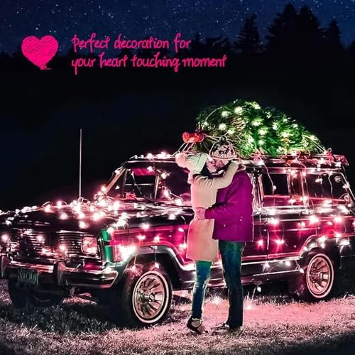 Minetom Pink Christmas Lights 100 Count 20 Feet Incandescent Bulb