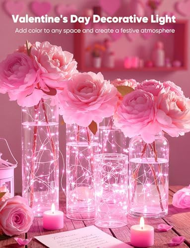 Brightown 12 Pack Valentine's Day Pink Fairy Lights Battery Operated