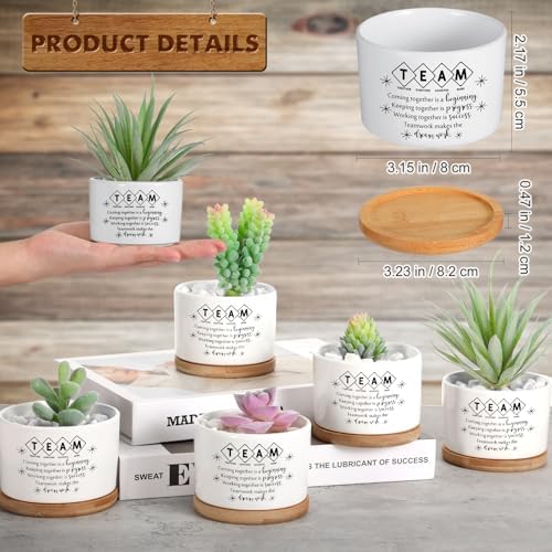 12 Pcs Team Appreciation Gifts for Employees Succulent Pots