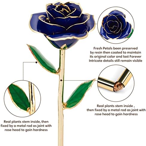 Anthonic Gold Dipped Infinity Rose Last Forever Flower Decor, Birthday Gift for Women in Her Birthday Valentines Day Mothers Day, Resin Preserved Rose | Anniversary Present for Mom (Blue)