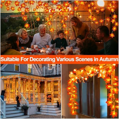 Timer - 2 Pack Fall Garland with Lights Total 20Ft 40LED Battery Operated
