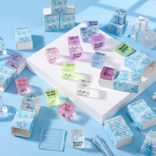 12 Sets Ice Cube Inspirational Gifts You are So Cool Party Favors