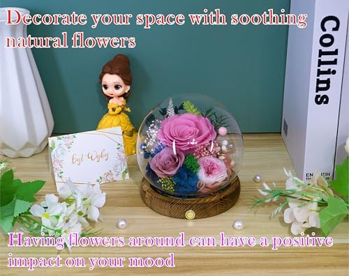 Long-Lasting Real Flowers - Unique Floral Gift For You To Send Love