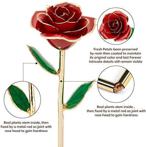 Anthonic Gold Dipped Infinity Rose Last Forever Flower Decor, Birthday Gift for Women in Her Birthday Valentines Day Mothers Day, Resin Preserved Rose | Anniversary Present for Mom (Red)