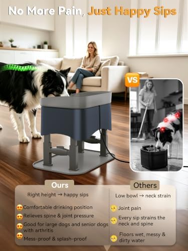 11L Elevated Dog Water Fountain No-Spill with 4 Heights Adjustable