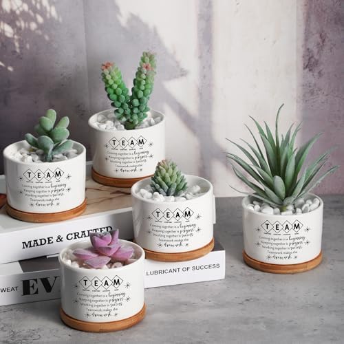 12 Pcs Team Appreciation Gifts for Employees Succulent Pots