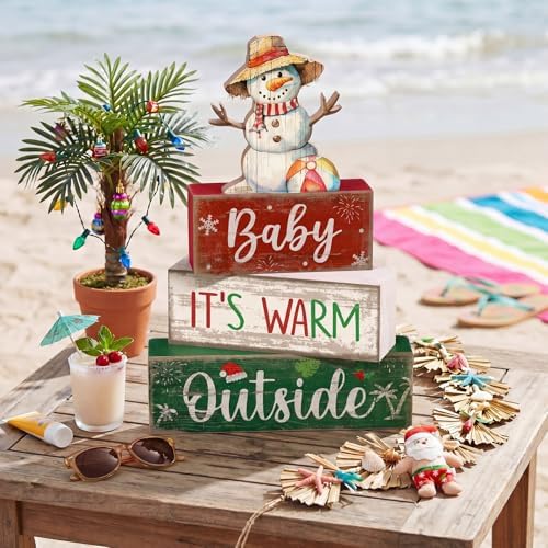 Lineshading 4 Pcs Christmas Table Decoration, Wooden Snowman Beach Sign Set