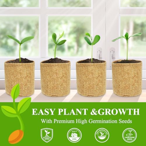 Indoor Herb Garden Kit, Culinary Herb Starter Kit with Seeds & Tools for Beginners, Kitchen Decor, House Warming Gifts for New Home, for Christmas, Ultimate Birthday Gifts for Women Men Mom Dad