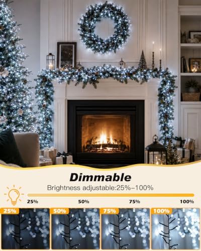 Iseebiz 50Ft 1000 LED Cluster Christmas Tree Lights with Remote & Timer