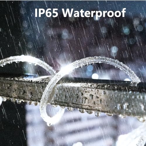 KNONEW 1000 LED Rope Lights Outdoor 164FT Rope Light for Outside Waterproof