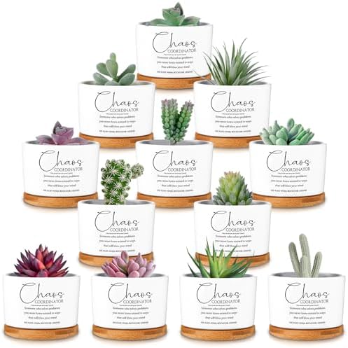 12 Pcs Chaos Coordinator Gifts Succulent Pots Bulk for Christmas