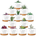 12 Pcs Chaos Coordinator Gifts Succulent Pots Bulk for Christmas