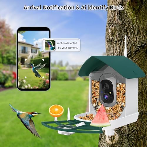 Fazoxo Bird Feeder with Camera,Birds House Camera,Solar Powered,AI Bird ID