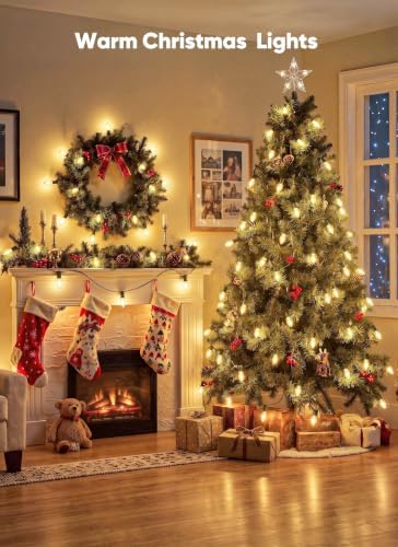 Brightown Christmas Lights Outdoor, 25Ft 25 LED Vintage C9 String Lights