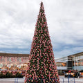 Pre-Lit Everest Fir Giant Commercial Tower Christmas Tree - 26.5' - Warm White C7 LED Lights