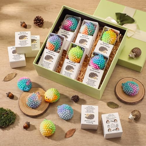24 Sets Hedgehog Gifts with Support Boxes
