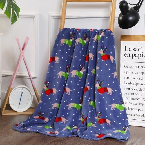 Elegant Comfort Luxury Velvet Super Soft Christmas Prints Fleece Blanket-Holiday Theme Home Décor Fuzzy Warm and Cozy Throws for Winter Bedding,Couch and Gift,50 x 60 inch,Dogs in Sweater,(Pack of 12)