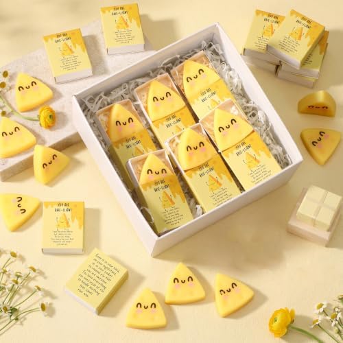 24 Sets Positive Gifts Cheese Toys with Support Boxes, Cute Party Favors