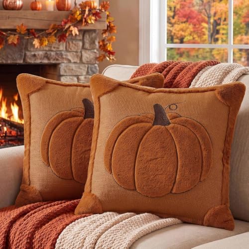 Softalker Fall Throw Pillow Covers 20x20 Set of 2 Rust Orange Pumpkin Plush