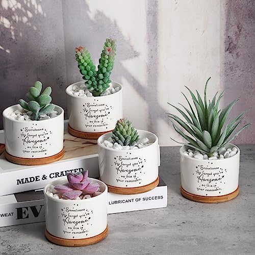 12 Pcs Inspirational Succulent Pots Thank You Employees Gifts Bulk