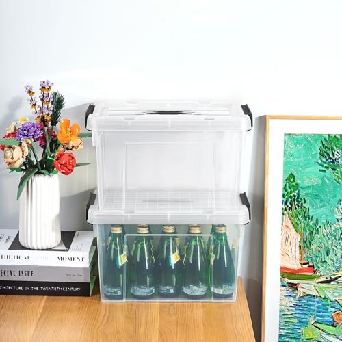 Cetomo Lidded Storage Bin with Handle, Storage Bins with Lid, Organizing Container with Secure Latching Buckles, Stackable and Nestable, Plastic, 25 Quart-4 Pack, Clear