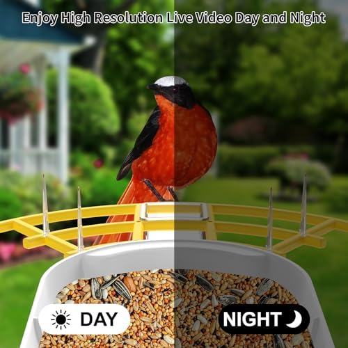 Fazoxo Bird Feeder with Camera,Birds House Camera,Solar Powered,Yellow