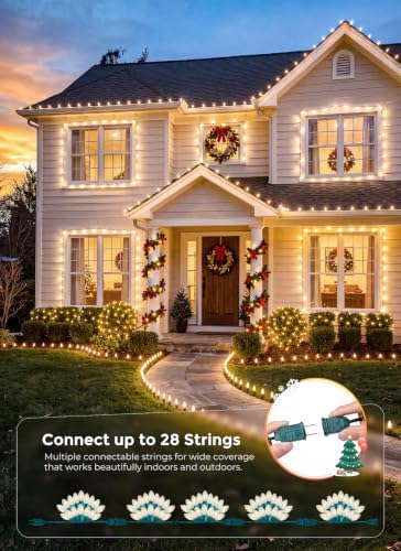 Brightown Christmas Lights Outdoor, 25Ft 25 LED Vintage C9 String Lights