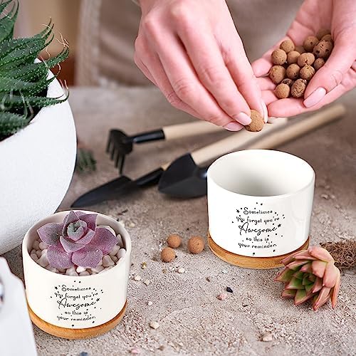 12 Pcs Inspirational Succulent Pots Thank You Employees Gifts Bulk
