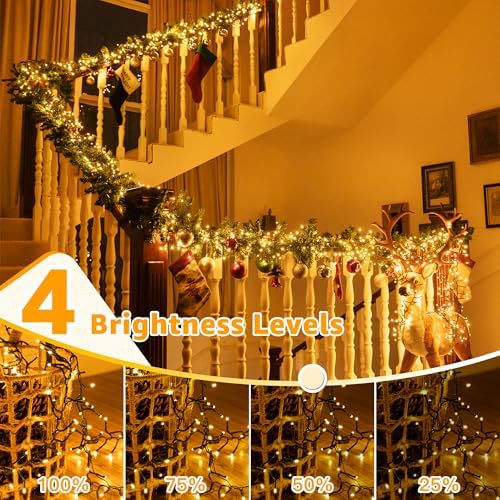 Ollny Cluster Lights Christmas 1000LED 49FT, Plug in Tree Light with Remote
