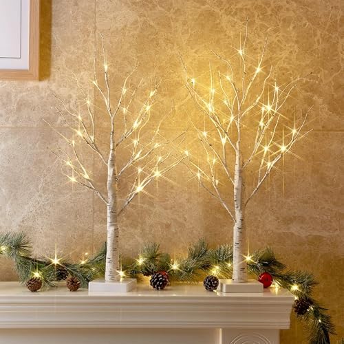 PEIDUO Christmas Decorations, 2FT Birch Tree with LED Lights, Warm White Light up Tree Lamp, Artificial Trees for Home Table Inside, Battery Powered, Timer (2PK)