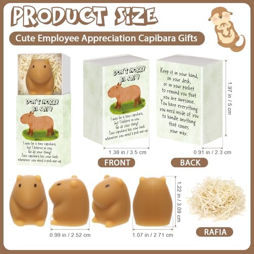 Wettarn 36 Sets Capybara Figures with Boxes, Appreciation Gifts