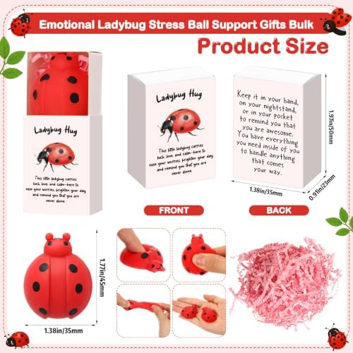24 Sets Positive Luck Gifts Ladybug Party Favors with Boxes