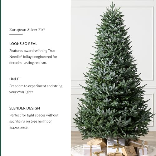Balsam Hill European Silver Fir - Elegant Artificial Christmas Tree with True Needle Foliage Available Unlit or with LED Clear Lights, Unlit, 5'