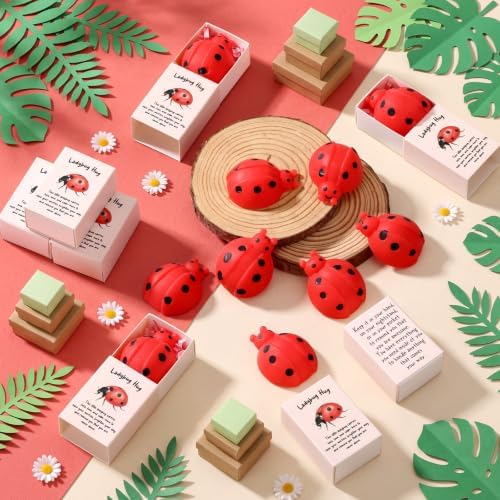 24 Sets Positive Luck Gifts Ladybug Party Favors with Boxes
