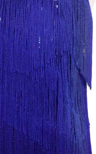 IDOPIP Kids Girls 1920s Flapper Dress Tassels Sequins Fringe Latin Dance Dress Gatsby Halloween Party Ballroom Dance Costumes