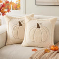 Fall Throw Pillow Covers 18x18 Set of 2 Double-Sided Beige Pumpkin Plush