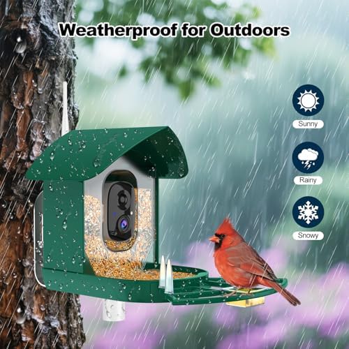 Fazoxo Bird Feeder with Camera,Birds House Camera,Solar Powered,AI Bird ID