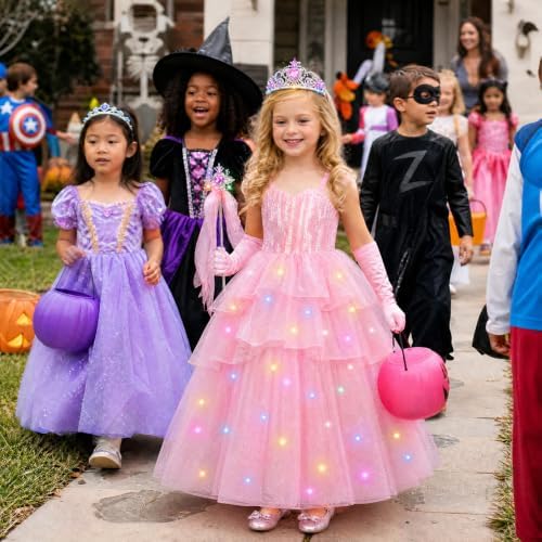 Good Witch Costume Princess Costume for Girls Pink Dress