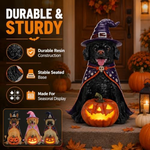 Halloween Large Labrador Statue with Glowing Pumpkin, Entrance Decor