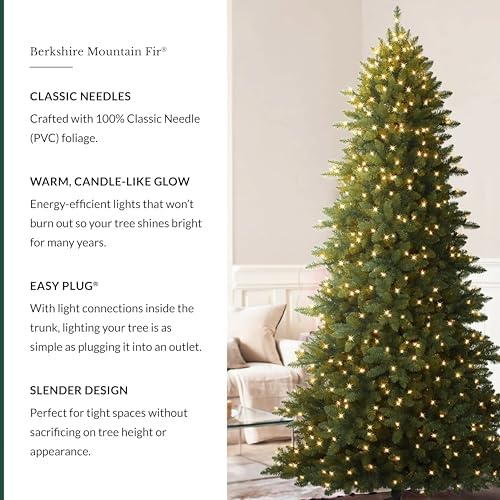 Balsam Hill 6.5ft Pre-Lit Berkshire Mountain Fir - Slim Artificial Christmas Tree with 500 Clear LED Lights, Easy Plug Technology & Premium Stand for Medium Spaces