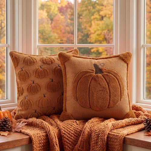 Fall Pillow Covers 20x20 Set of 2 Reversible Burnt Orange Pumpkin Plush