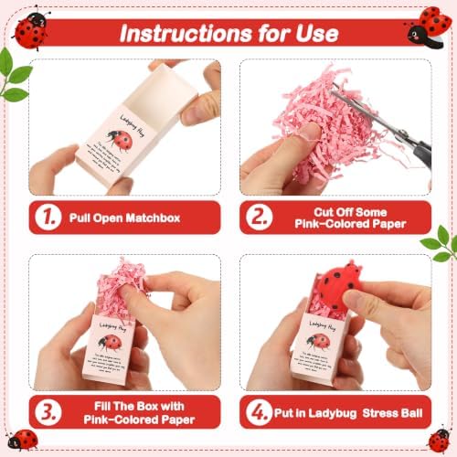 24 Sets Positive Luck Gifts Ladybug Party Favors with Boxes