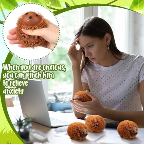 Meooeck 12 Pcs Hedgehog Fidgets Balls for Adults Hedgehog Party Favors