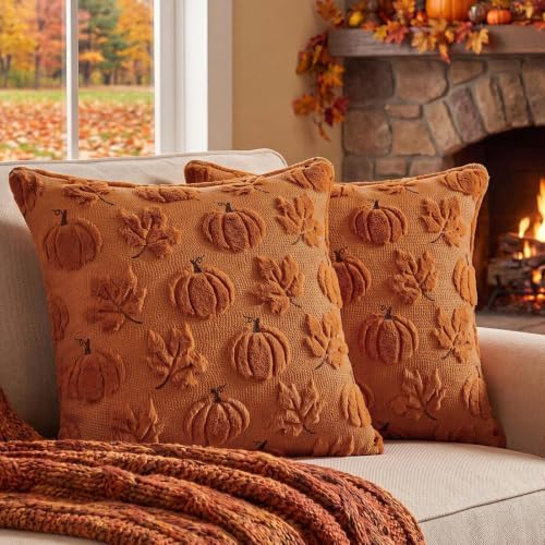 Fall Pillow Covers 20x20 Set of 2 Double-Sided Plush Maple & Pumpkin
