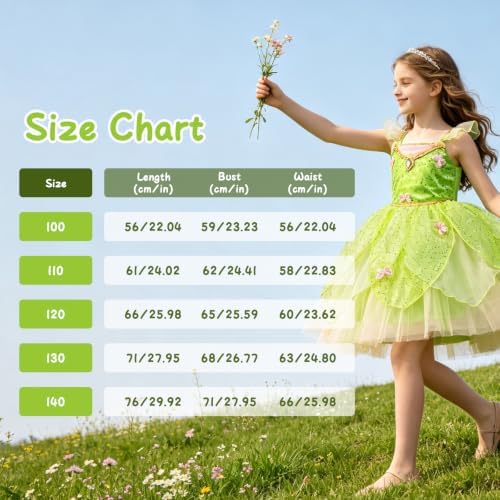 Fairy Costume for Girl Dress Up Halloween Cosplay with Wig